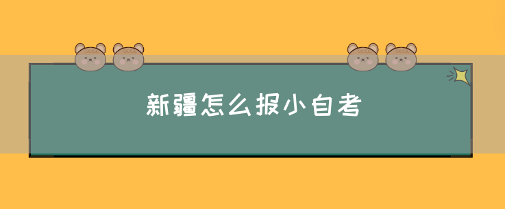 新疆怎么报小自考(图1) 新疆怎么报小自考(图1)