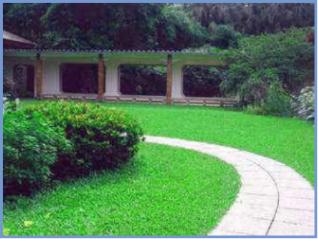 2025年4月新疆自考06508《草坪管理》章节串讲：草坪草（第三章）(图2)