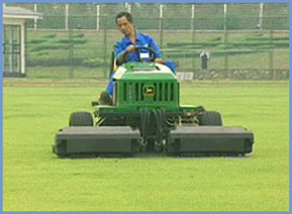 2025年4月新疆自考06508《草坪管理》章节串讲：草坪养护管理（第五章）(图3)