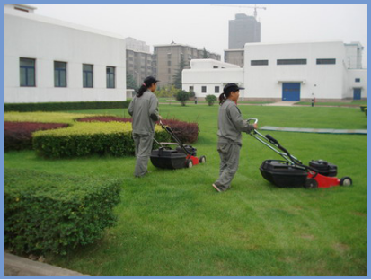 2025年4月新疆自考06508《草坪管理》章节串讲：草坪养护管理（第五章）(图4)