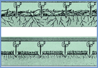 2025年4月新疆自考06508《草坪管理》章节串讲：草坪养护管理（第五章）(图9)