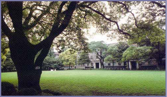 2025年4月新疆自考06508《草坪管理》章节串讲：草坪养护管理（第五章）(图14)