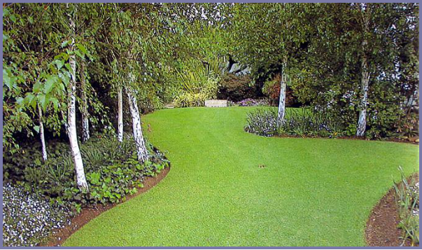 2025年4月新疆自考06508《草坪管理》章节串讲：草坪养护管理（第五章）(图15)