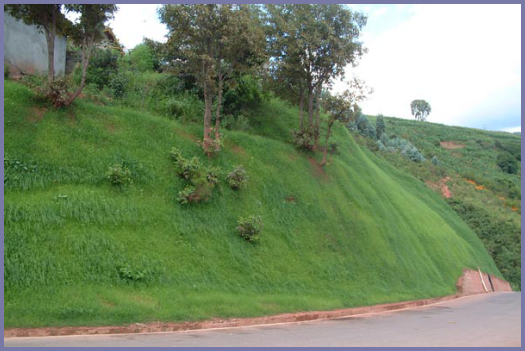 2025年4月新疆自考06508《草坪管理》章节串讲：草坪养护管理（第五章）(图16)