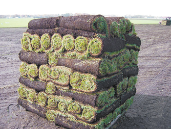 2025年4月新疆自考06508《草坪管理》章节串讲：草皮生产（第八章）(图1)