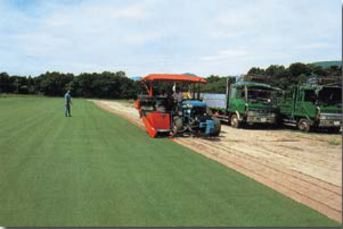 2025年4月新疆自考06508《草坪管理》章节串讲：草皮生产（第八章）(图2)